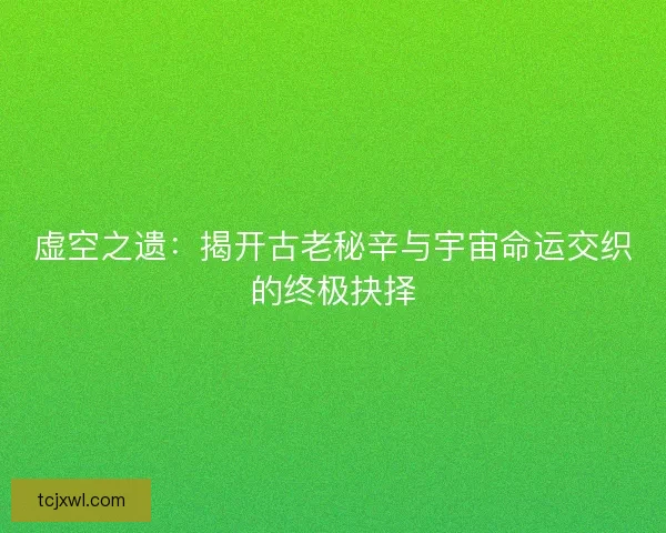 虚空之遗：揭开古老秘辛与宇宙命运交织的终极抉择