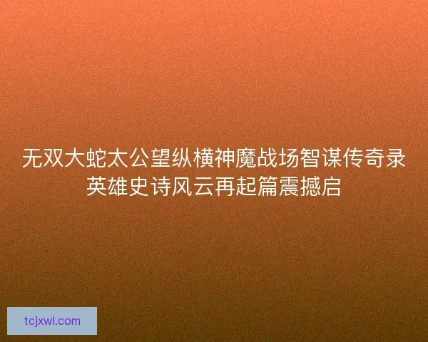 无双大蛇太公望纵横神魔战场智谋传奇录英雄史诗风云再起篇震撼启